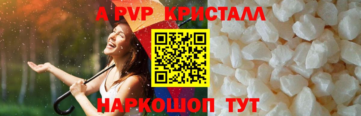 A PVP СК КРИС Усть-Джегута