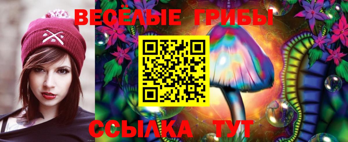 Галлюциногенные грибы Psilocybe Усть-Джегута