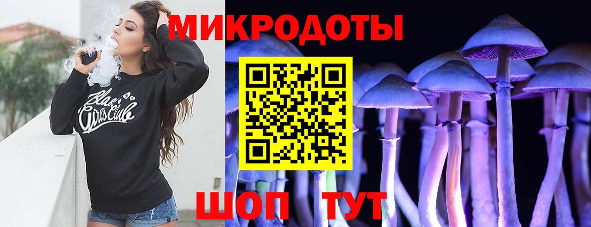Усть-Джегута  Галлюциногенные грибы Psilocybine cubensis  Вход с VPN  что такое наркотик  Псилоцибиновые грибы прущие грибы 